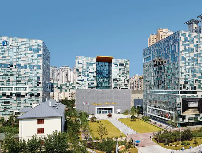 樱花视频集团简介